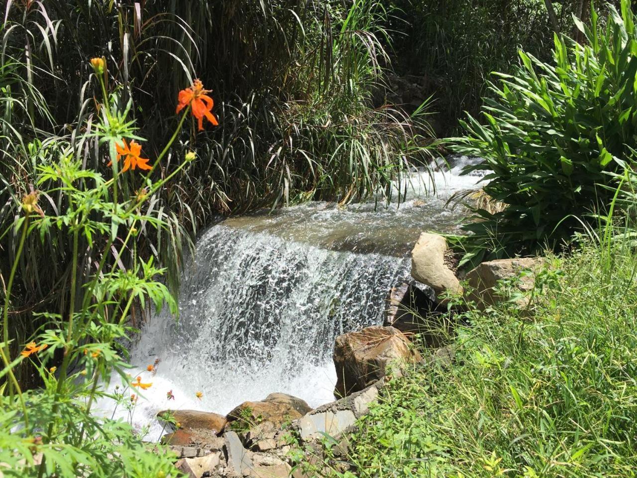 Madera Verde Ecolodge Maranura Ngoại thất bức ảnh